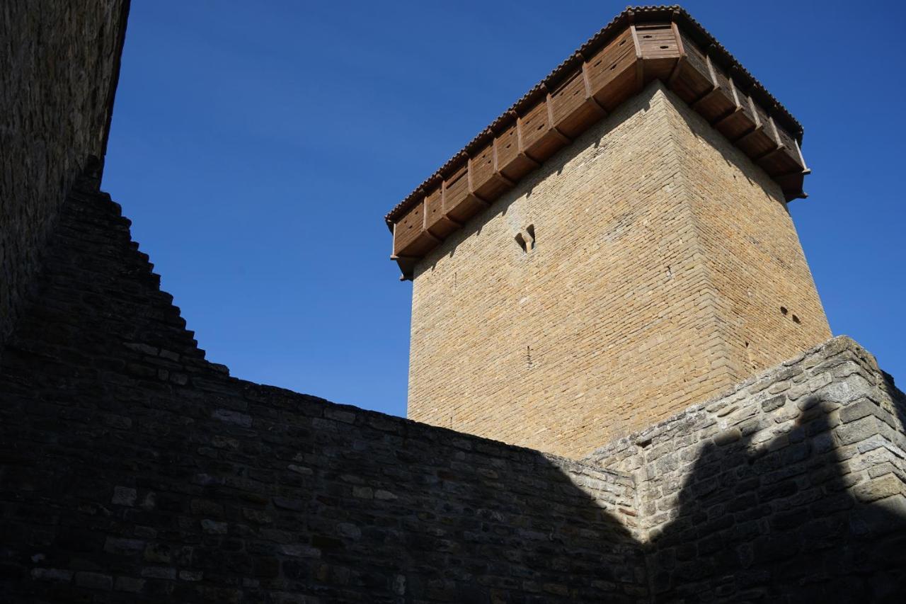 Hotel Casa Fumanal Huesca Eksteriør billede